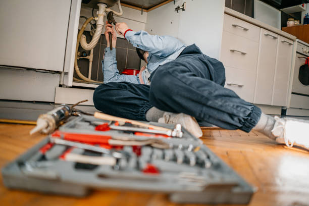 Best Plumbing Inspection Services  in Three Oaks, MI
