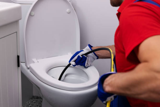 Best Residential Plumbing Services  in Three Oaks, MI