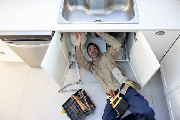 Best Local Plumber Services  in Three Oaks, MI