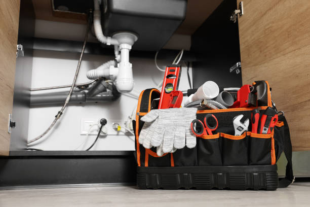 Best Toilet Repair Services  in Three Oaks, MI