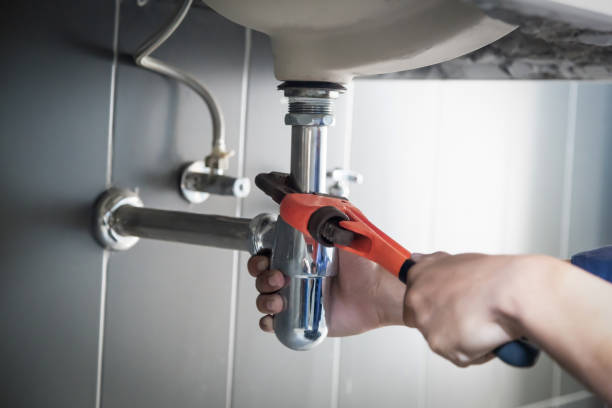 Best Commercial Plumbing Services  in Three Oaks, MI