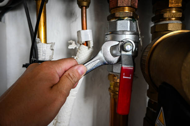 Best Boilers & Radiators  in Three Oaks, MI